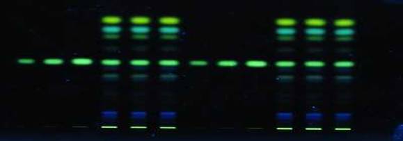 薄層雖小，事兒不少